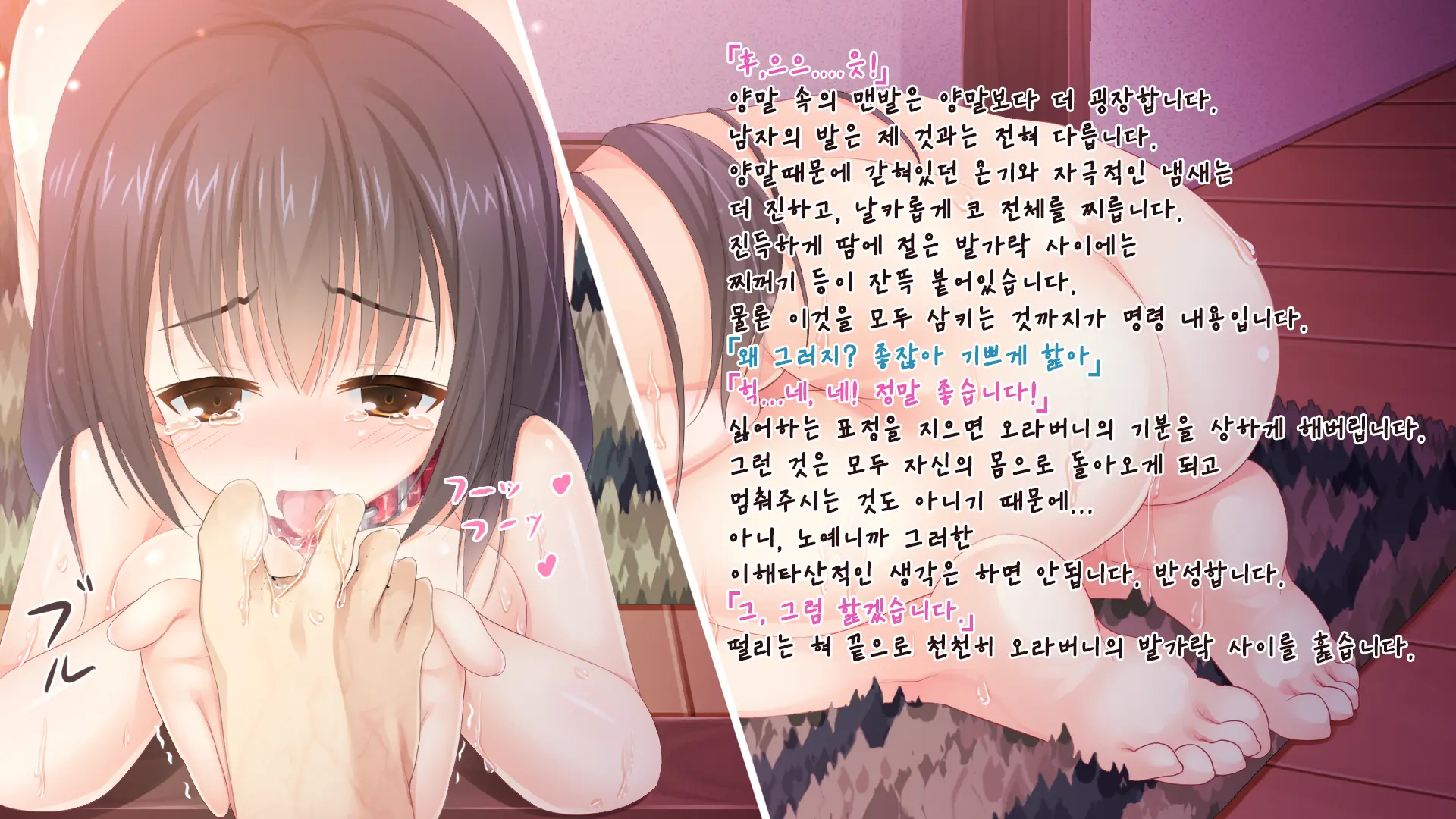 Gyakutaiyou Seidorei No Imouto.